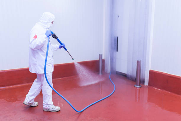 Best Playground Equipment Cleaning  in Tuscoosa, AL
